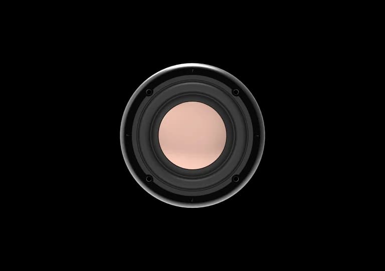Freude Audio FDS-100