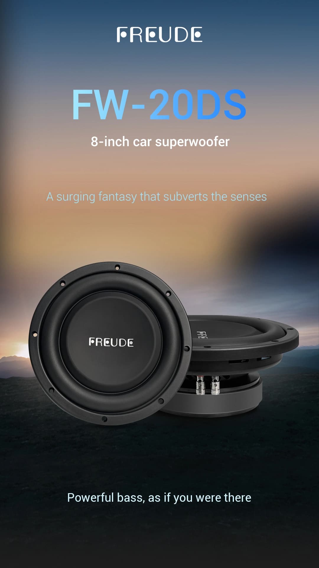 Freude Audio FW-20DS