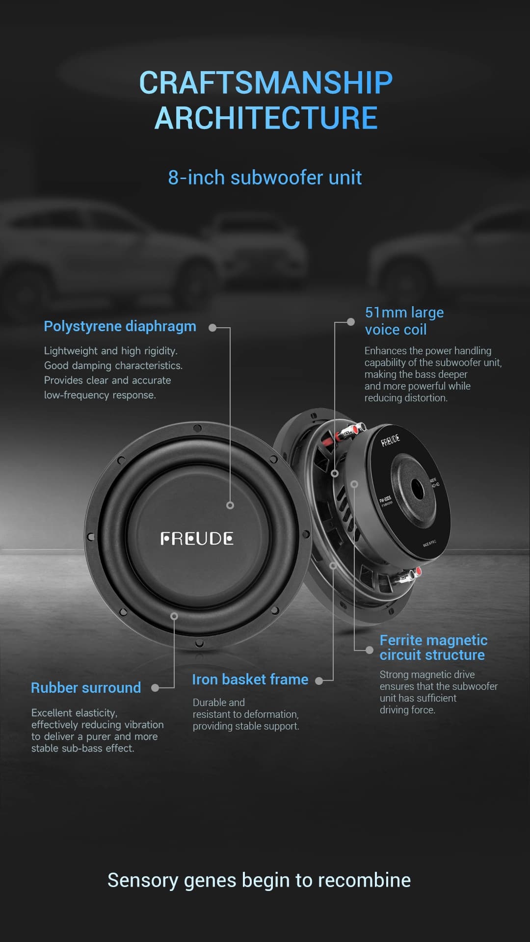 Freude Audio FW-20DS