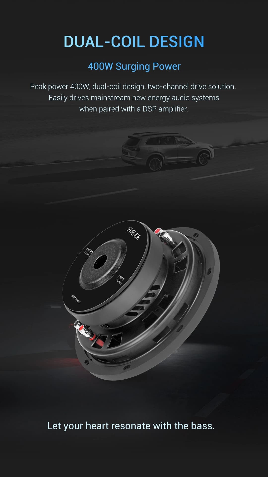 Freude Audio FW-20DS