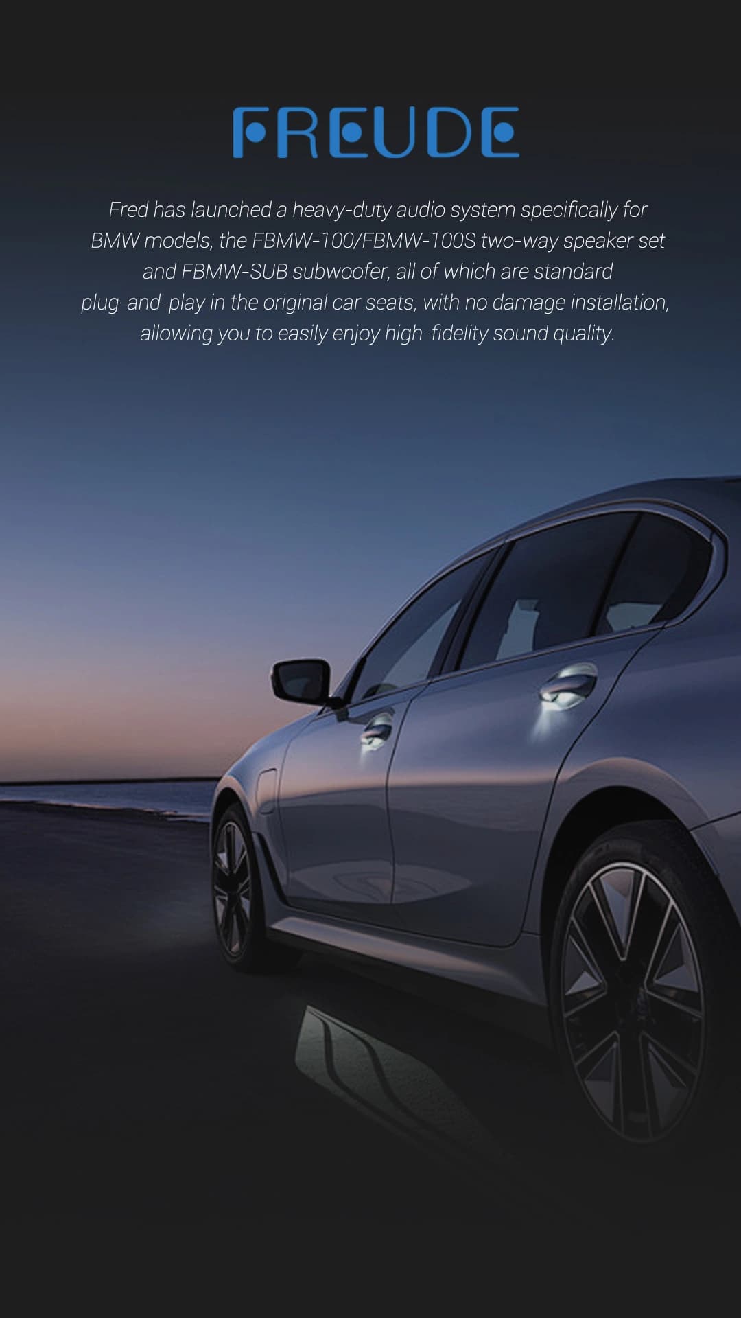 Freude Audio FBMW-100S